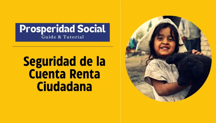 Seguridad de la Cuenta Renta Ciudadana